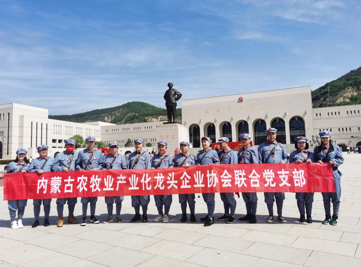 內(nèi)蒙古農(nóng)牧業(yè)產(chǎn)業(yè)化龍頭企業(yè)協(xié)會聯(lián)合黨支部赴延安革命圣地開展“學黨史、感黨恩、跟黨走”主題黨日活動